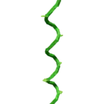 Bendboo Grow a Garden