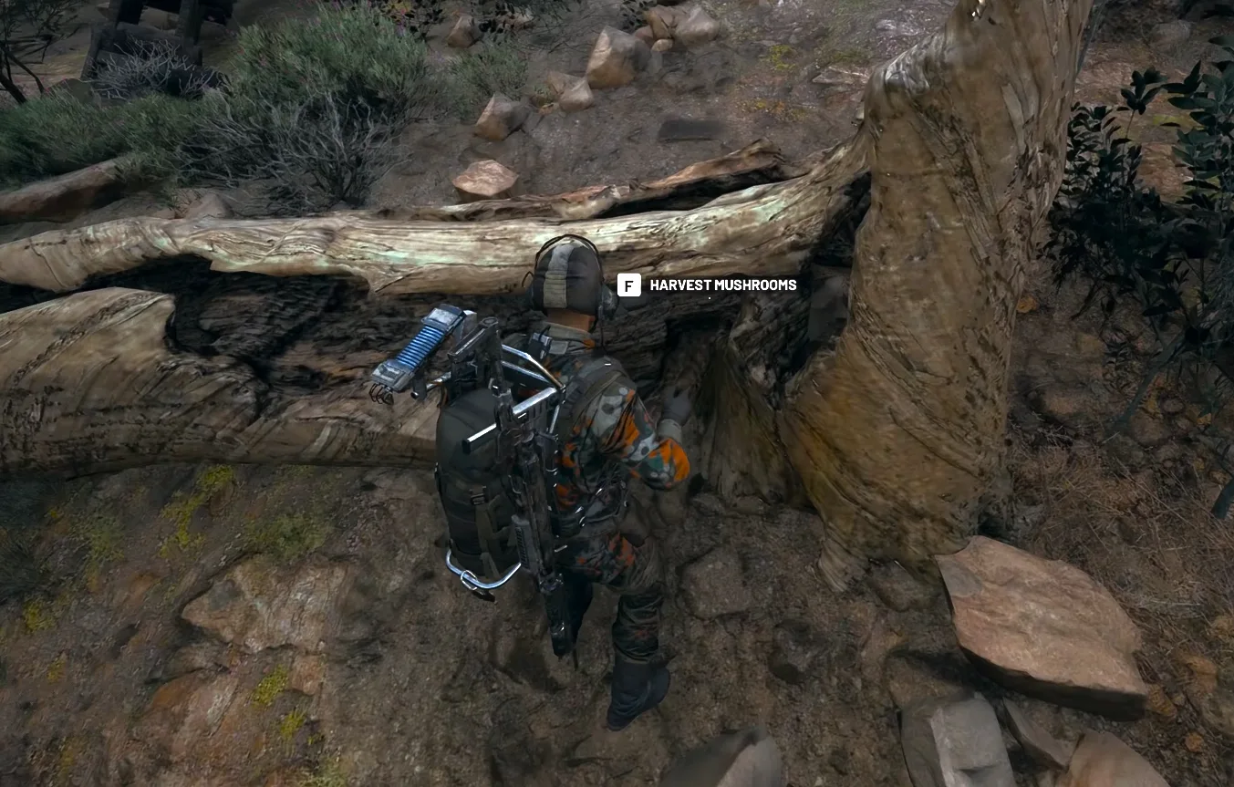 ARC Raiders mushroom location