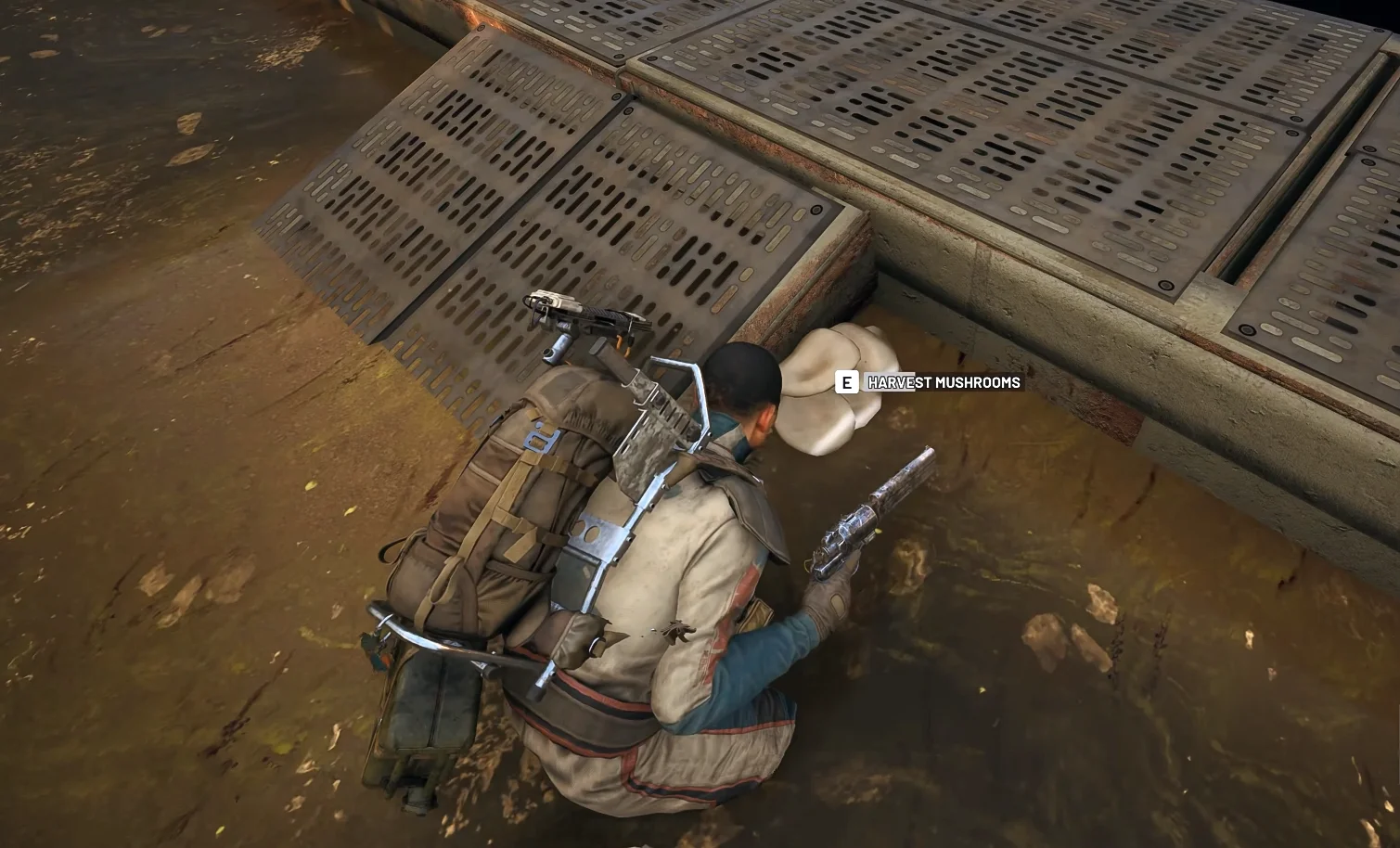 ARC Raiders mushroom location