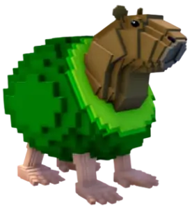 Pipi Avocado brainrot