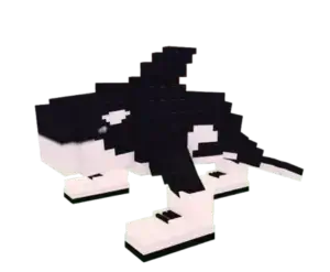 Orcalero Orcala brainrot