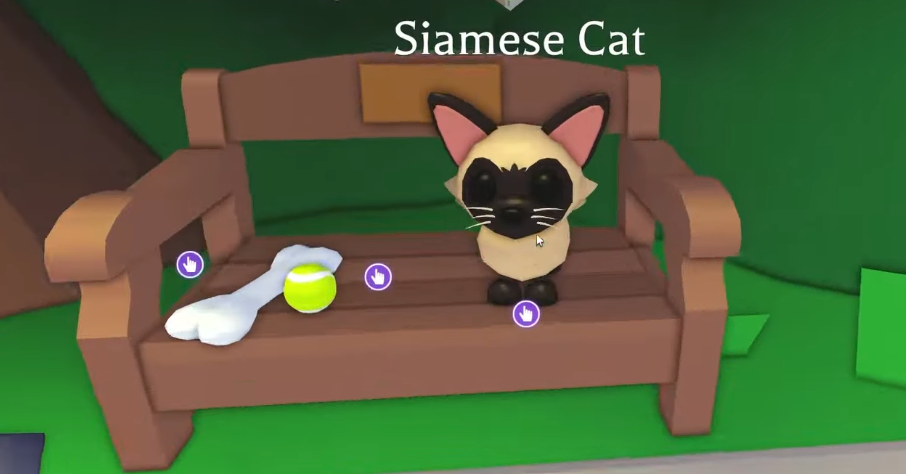 Adopt Me Siamese Cat pet