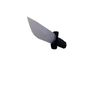Knife secondary weapon