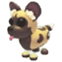 African Wild Dog