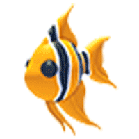 Angelfish