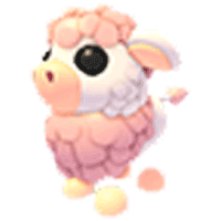 Angus Cow