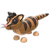 Banded Palm Civet