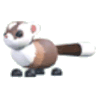 Black-Footed Ferret