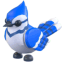 Blue Jay