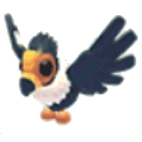 California Condor