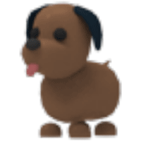 Chocolate Labrador
