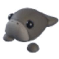 Dugong