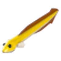 Eel