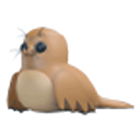 Galapagos Sea Lion