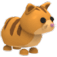 Ginger Cat