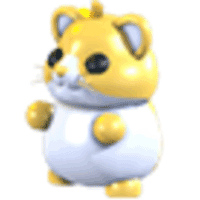 Golden Hamster