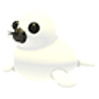 Harp Seal