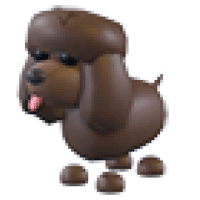 Irish Water Spaniel