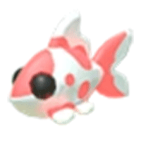Koi Carp