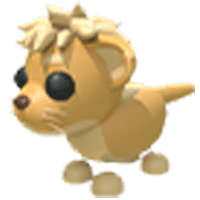 Lion Cub