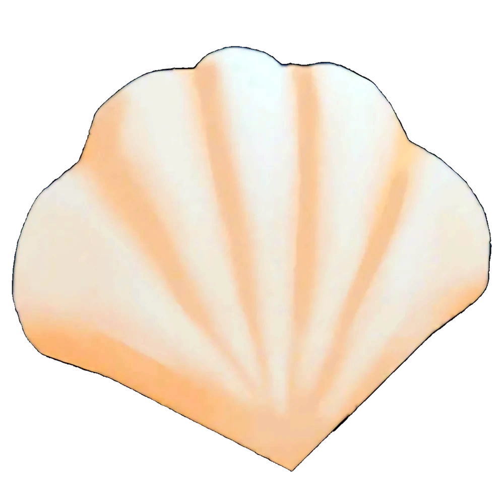 MM2 Shells