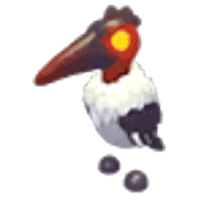 Marabou Stork