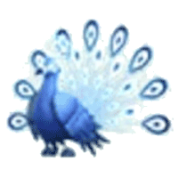 Moonbeam Peacock