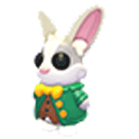 Mr Whiskerpips
