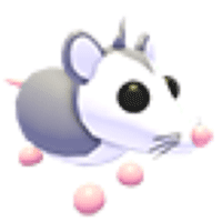 Possum