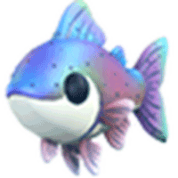Rainbow Trout