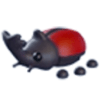 Rhino Beetle