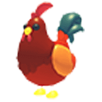 Rooster