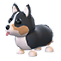 Royal Corgi