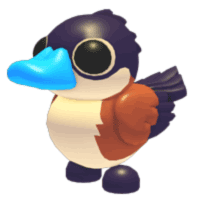 Ruddy Duck