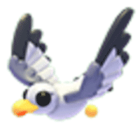 Seagull