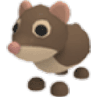Shrew