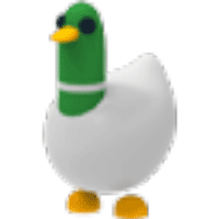 Silly Duck