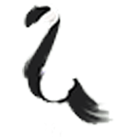 Slimingo
