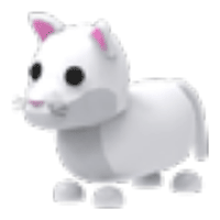Snow Puma