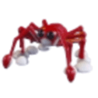 Spider Crab