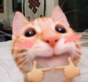 CuteCat