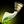 League of Legends Classic Sword of the Occult item
