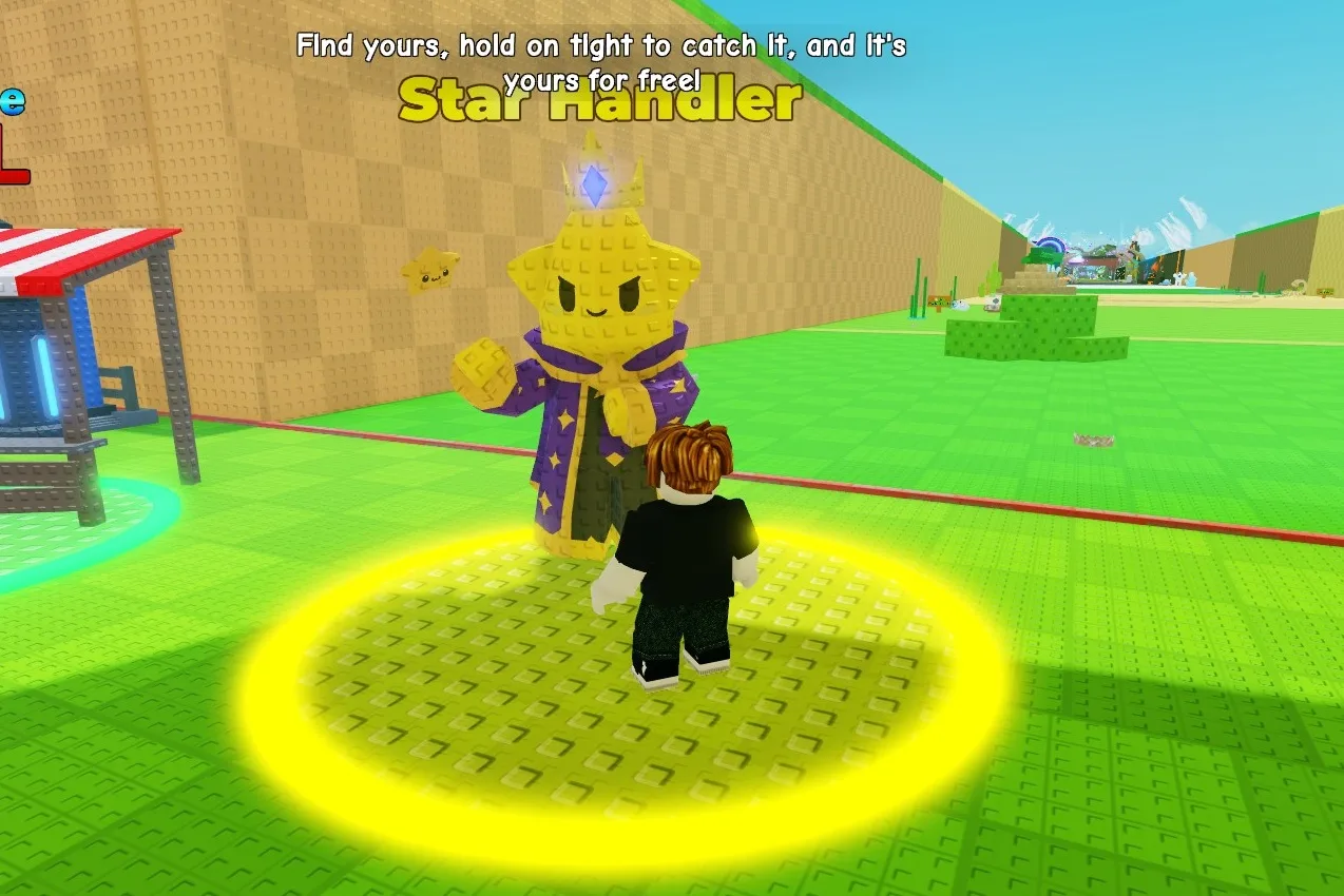 Star Handler
